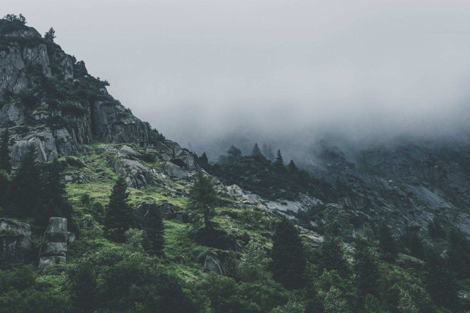 Forest in fog, evoking protection against natural risks